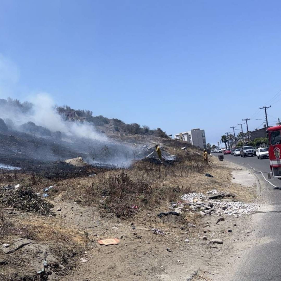 Incendio Forestal de Cerro Causa Evacuación de Escuela en Ensenada